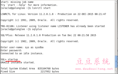 Linux系统开启Oracle数据库操作实例教程